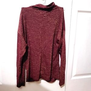 Burgundy glitter top